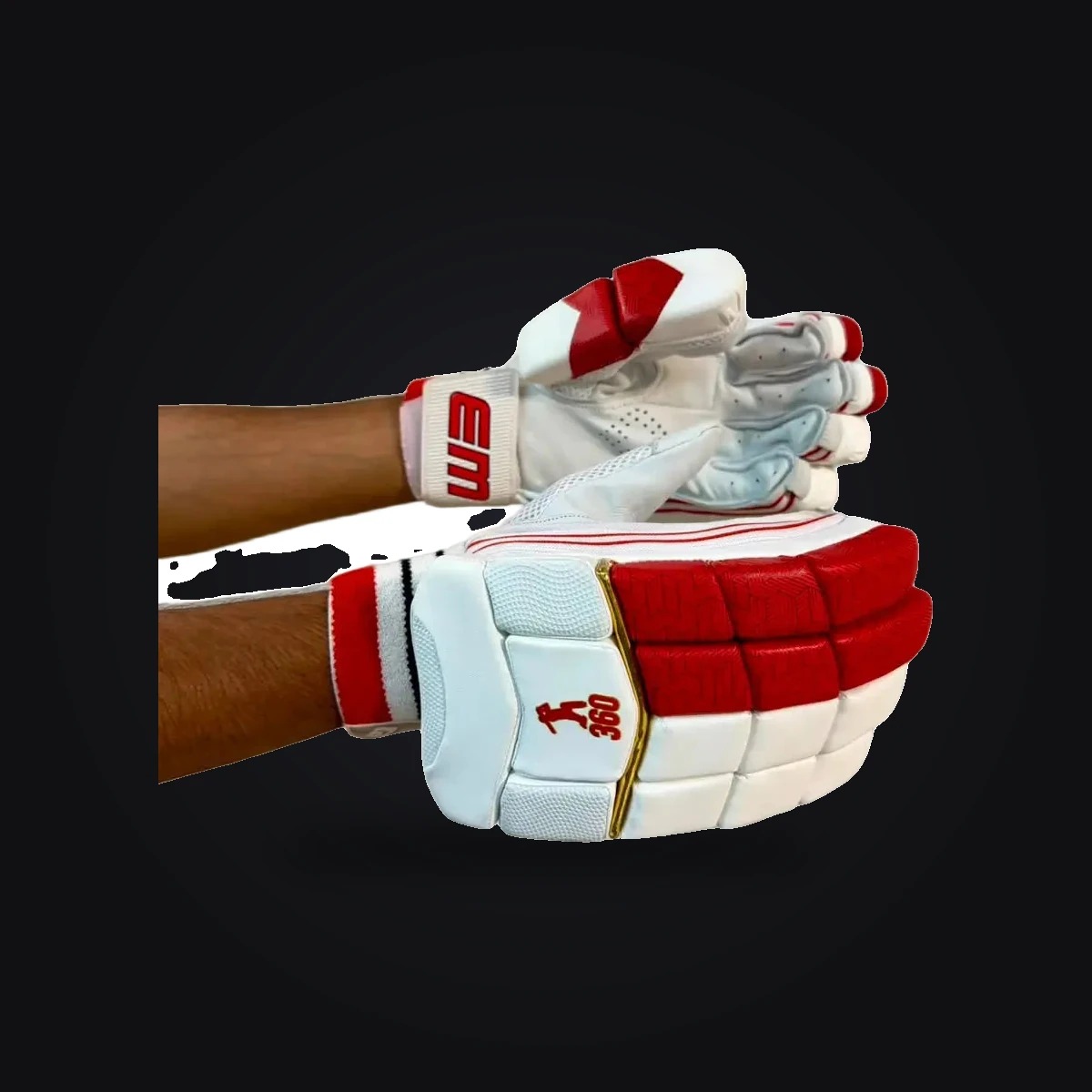 EM 360 Legacy Batting Gloves Youth RH