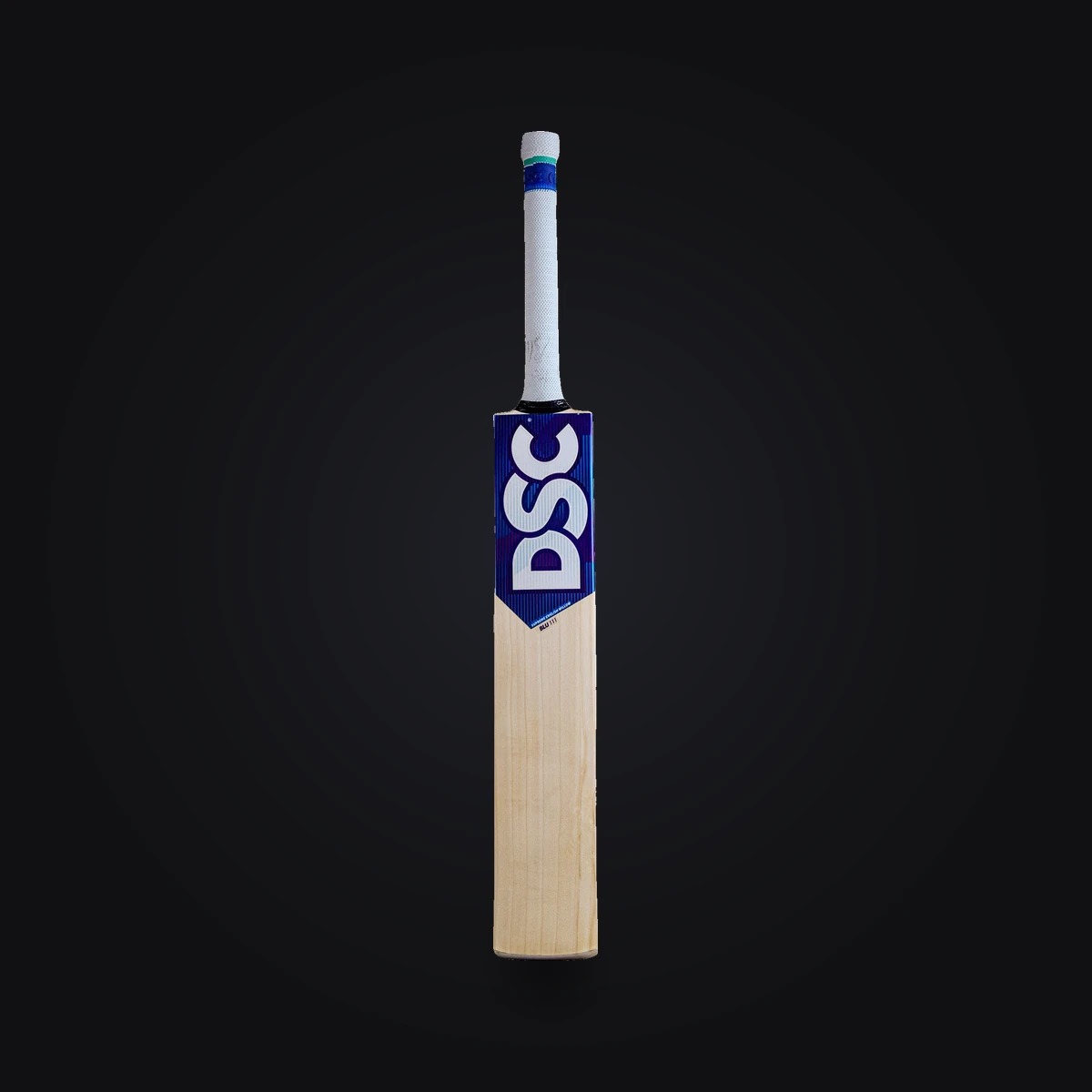 DSC English Willow Bat Blu 111