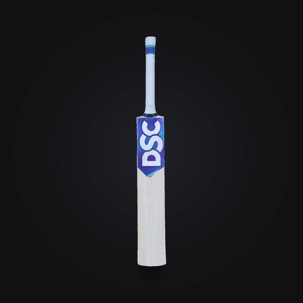DSC English Willow Bat Blu 200