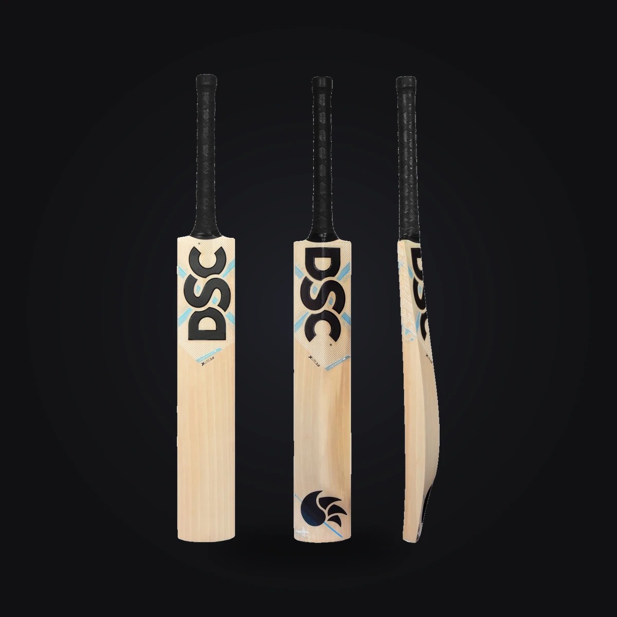 DSC English Willow Bat Xlite 3.0