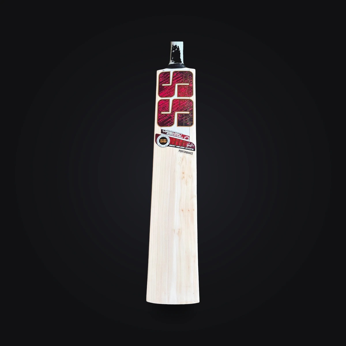 SS Vaibhav Suryanvanshi Attack Bat