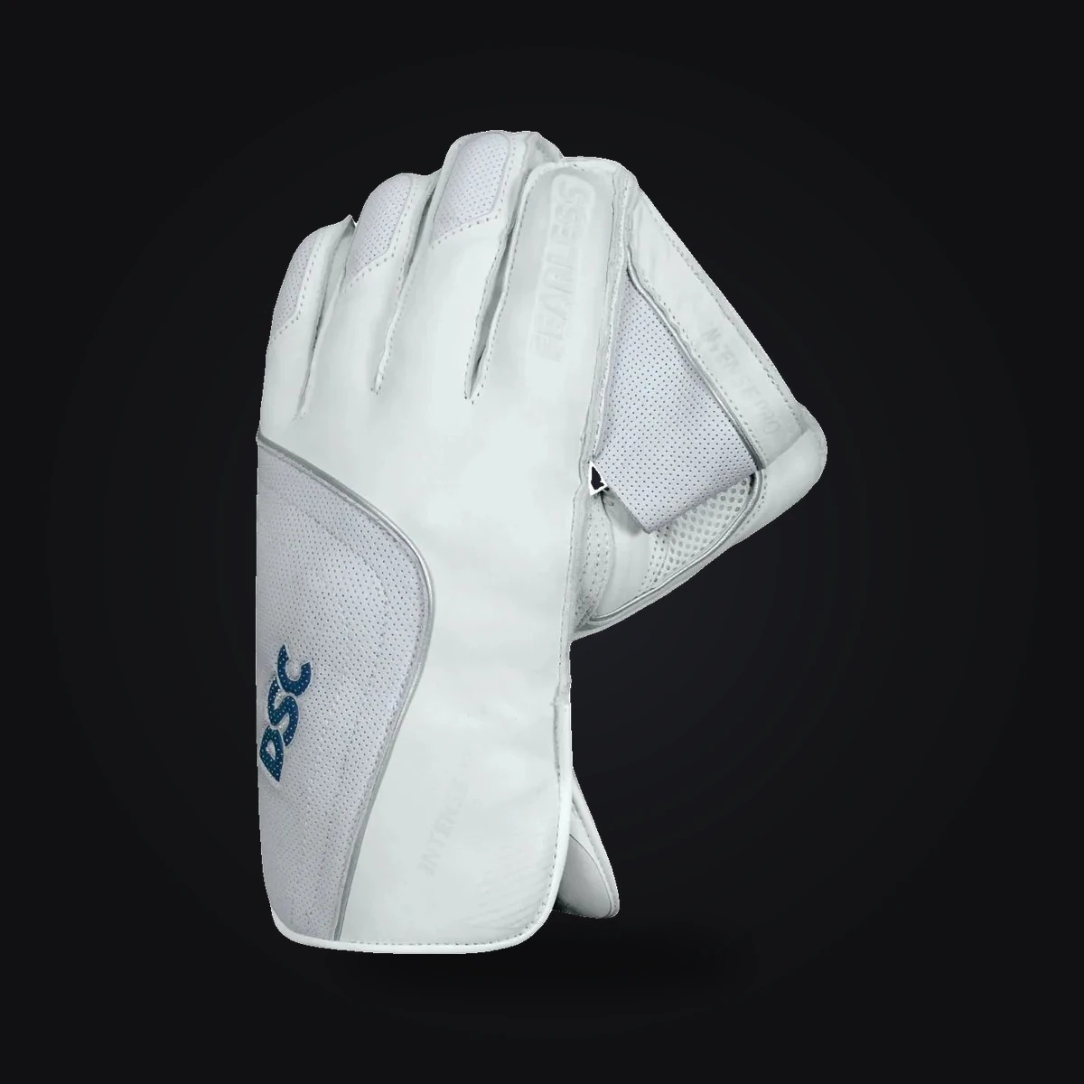 DSC Wicket Keeping Gloves Intense Shoc Boys